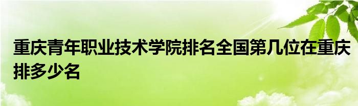 重庆青年职业技术学院排名全国第几位在重庆排多少名