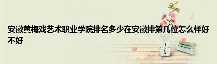 安徽黄梅戏艺术职业学院排名多少在安徽排第几位怎么样好不好