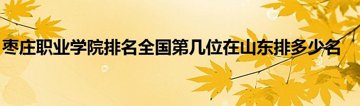 枣庄职业学院排名全国第几位在山东排多少名