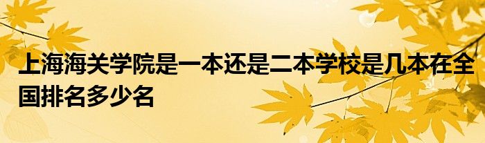 上海海关学院是一本还是二本学校是几本在全国排名多少名