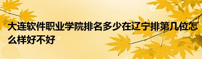 大连软件职业学院排名多少在辽宁排第几位怎么样好不好