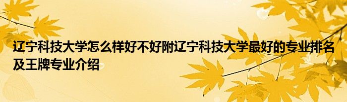 辽宁科技大学怎么样好不好附辽宁科技大学最好的专业排名及王牌专业介绍