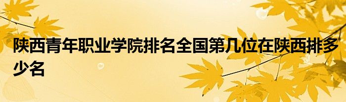 陕西青年职业学院排名全国第几位在陕西排多少名