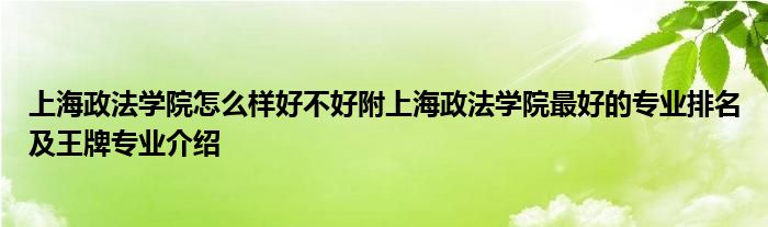 上海政法学院怎么样好不好附上海政法学院最好的专业排名及王牌专业介绍