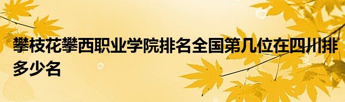 攀枝花攀西职业学院排名全国第几位在四川排多少名