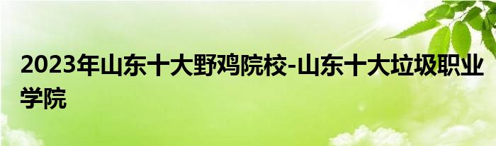 2023年山东十大野鸡院校-山东十大垃圾职业学院