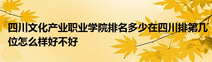 四川文化产业职业学院排名多少在四川排第几位怎么样好不好