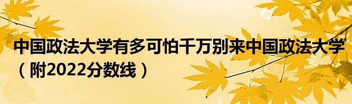 中国政法大学有多可怕千万别来中国政法大学（附2022分数线）