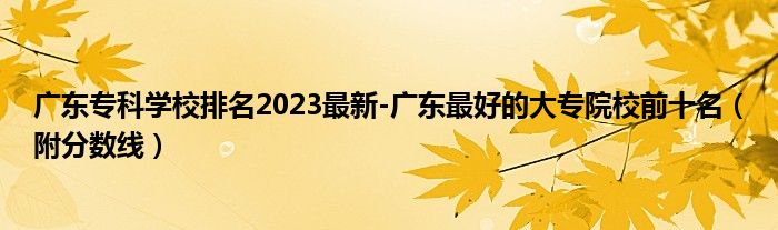 广东专科学校排名2023最新-广东最好的大专院校前十名（附分数线）