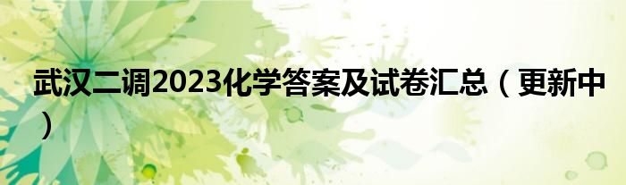 武汉二调2023化学答案及试卷汇总（更新中）