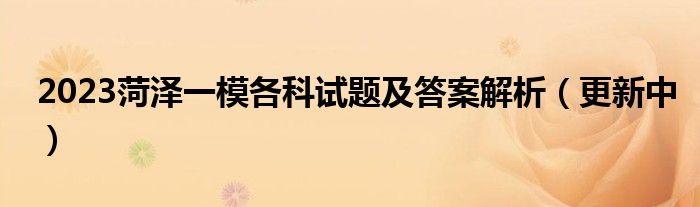 2023菏泽一模各科试题及答案解析（更新中）