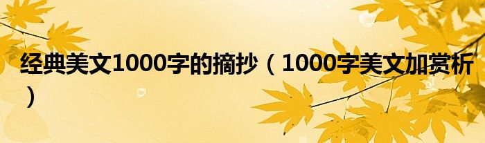 经典美文1000字的摘抄（1000字美文加赏析）