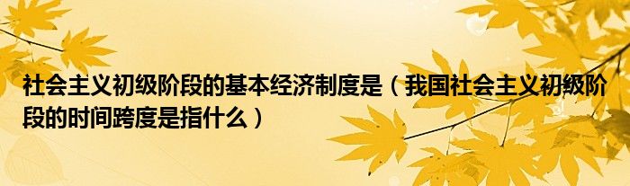 社会主义初级阶段的基本经济制度是（我国社会主义初级阶段的时间跨度是指什么）