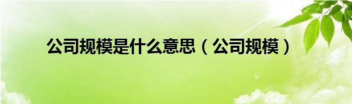 公司规模是什么意思（公司规模）