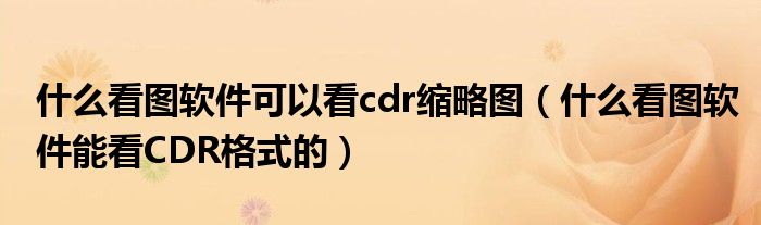 什么看图软件可以看cdr缩略图（什么看图软件能看CDR格式的）