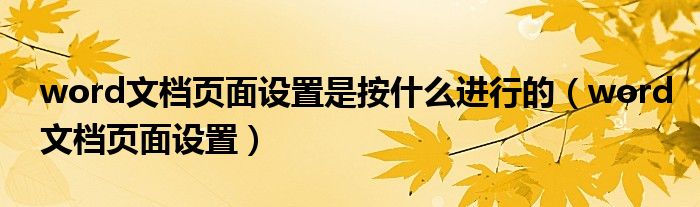 word文档页面设置是按什么进行的（word文档页面设置）