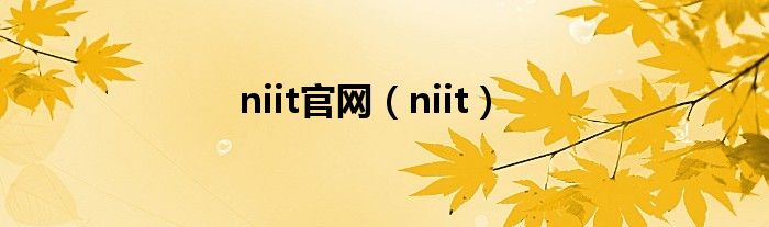 niit官网（niit）