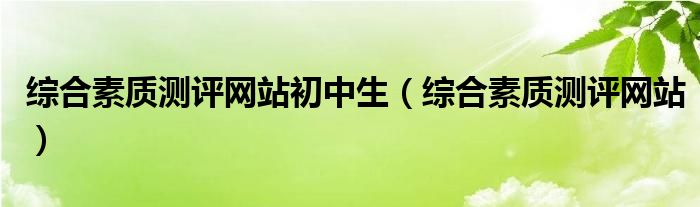 综合素质测评网站初中生（综合素质测评网站）