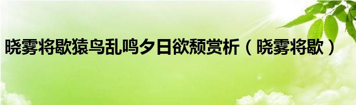 晓雾将歇猿鸟乱鸣夕日欲颓赏析（晓雾将歇）