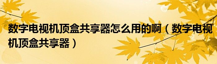 数字电视机顶盒共享器怎么用的啊（数字电视机顶盒共享器）