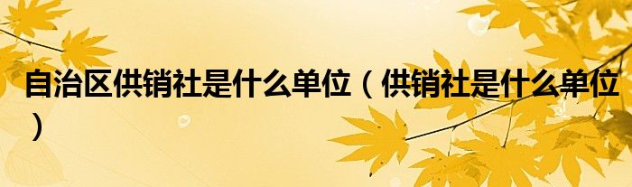 自治区供销社是什么单位（供销社是什么单位）