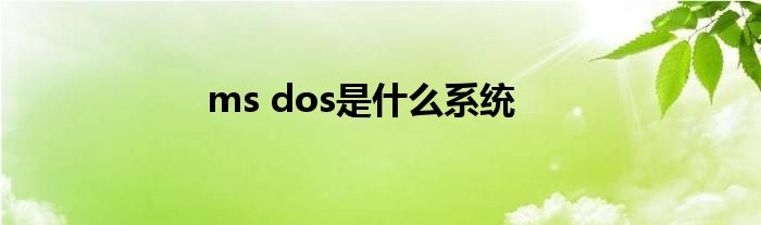 ms dos是什么系统