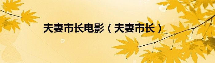 夫妻市长电影（夫妻市长）