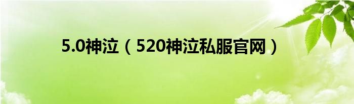 5.0神泣（520神泣私服官网）