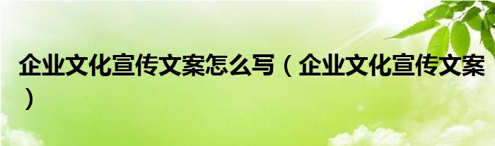 企业文化宣传文案怎么写（企业文化宣传文案）