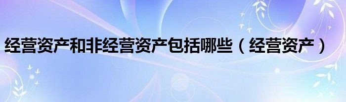 经营资产和非经营资产包括哪些（经营资产）