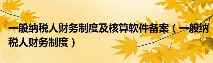 一般纳税人财务制度及核算软件备案（一般纳税人财务制度）