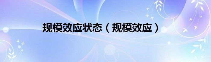 规模效应状态（规模效应）