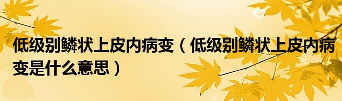 低级别鳞状上皮内病变（低级别鳞状上皮内病变是什么意思）