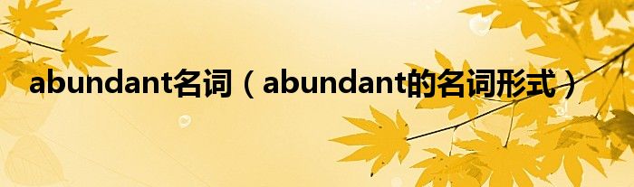 abundant名词（abundant的名词形式）