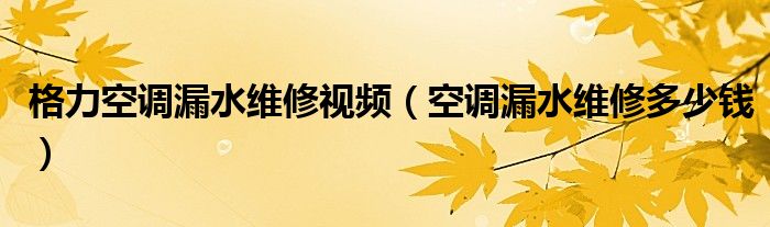 格力空调漏水维修视频（空调漏水维修多少钱）