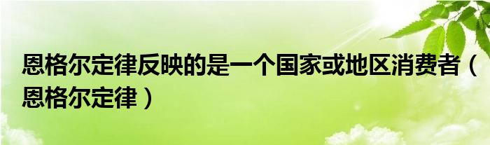 恩格尔定律反映的是一个国家或地区消费者（恩格尔定律）