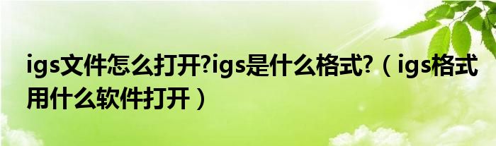 igs文件怎么打开?igs是什么格式?（igs格式用什么软件打开）