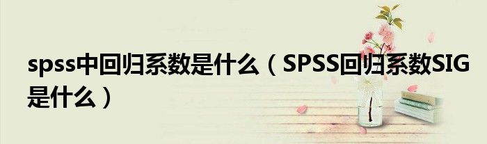 spss中回归系数是什么（SPSS回归系数SIG是什么）