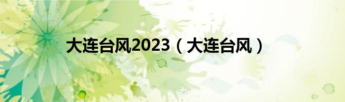 大连台风2023（大连台风）