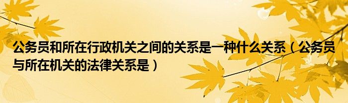 公务员和所在行政机关之间的关系是一种什么关系（公务员与所在机关的法律关系是）