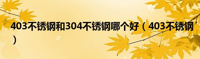 403不锈钢和304不锈钢哪个好（403不锈钢）