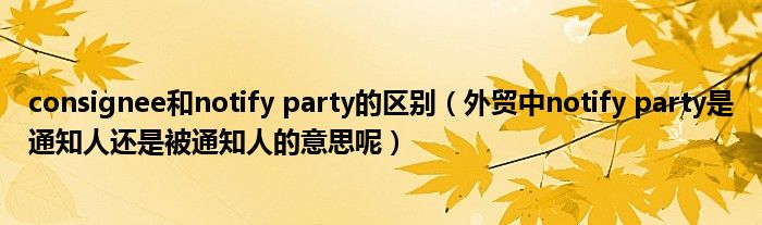 consignee和notify party的区别（外贸中notify party是通知人还是被通知人的意思呢）