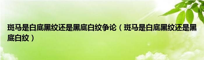 斑马是白底黑纹还是黑底白纹争论（斑马是白底黑纹还是黑底白纹）