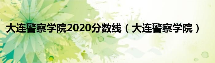 大连警察学院2020分数线（大连警察学院）