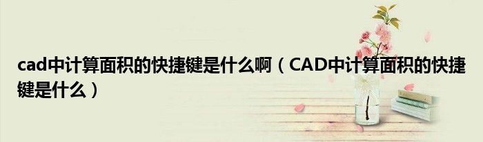 cad中计算面积的快捷键是什么啊（CAD中计算面积的快捷键是什么）