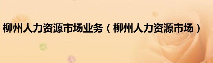 柳州人力资源市场业务（柳州人力资源市场）