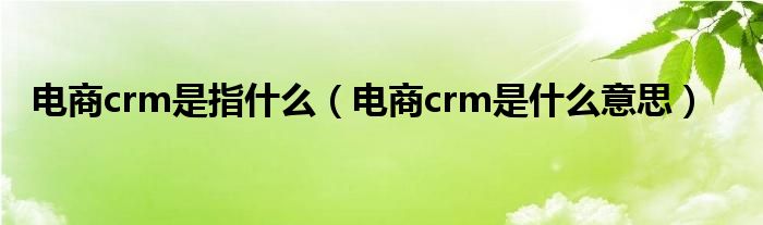 电商crm是指什么（电商crm是什么意思）