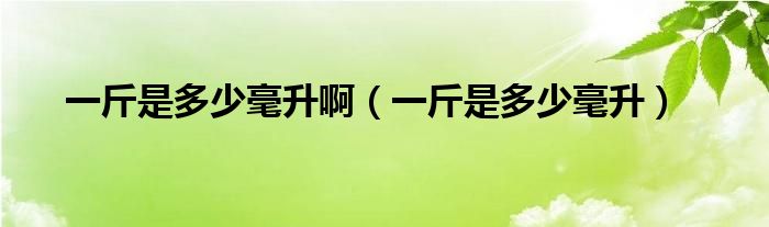 一斤是多少毫升啊（一斤是多少毫升）