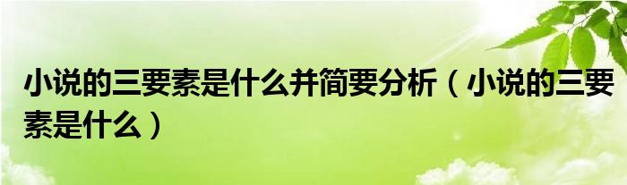 小说的三要素是什么并简要分析（小说的三要素是什么）