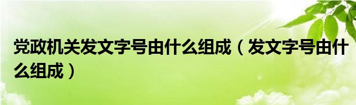 党政机关发文字号由什么组成（发文字号由什么组成）